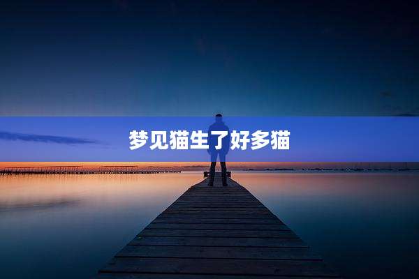 梦见猫生了好多猫