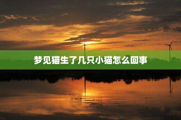 梦见猫生了几只小猫怎么回事