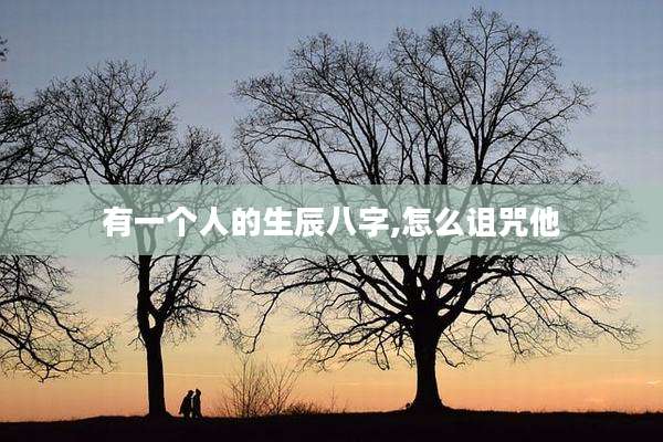 有一个人的生辰八字,怎么诅咒他