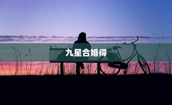九星合婚得