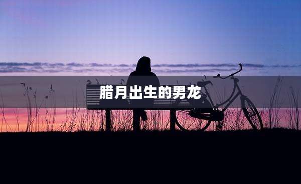腊月出生的男龙