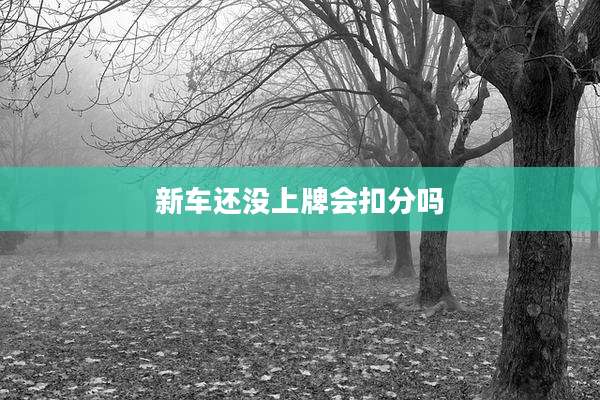 新车还没上牌会扣分吗