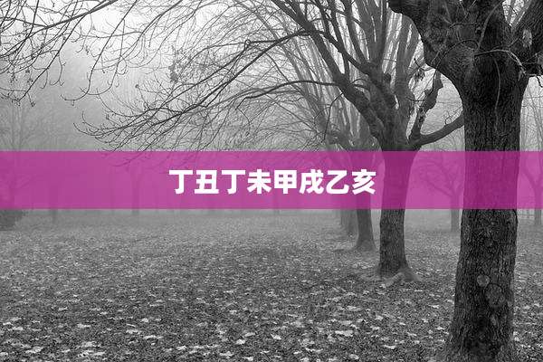 丁丑丁未甲戌乙亥