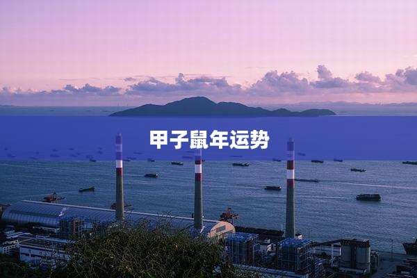 甲子鼠年运势