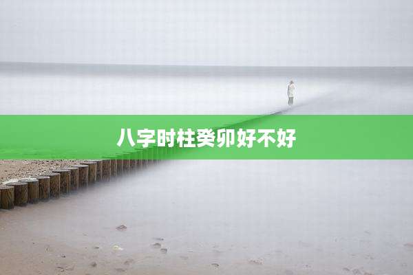 八字时柱癸卯好不好