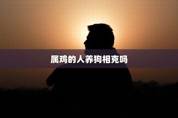 属鸡的人养狗相克吗