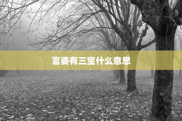富婆有三宝什么意思