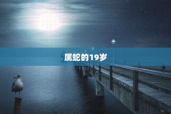 属蛇的19岁