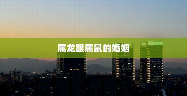 属龙跟属鼠的婚姻