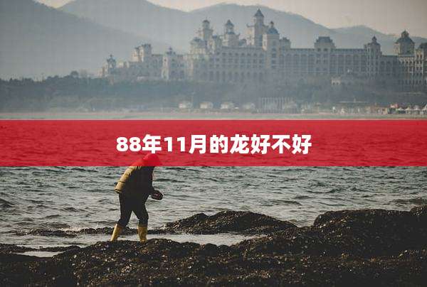 88年11月的龙好不好