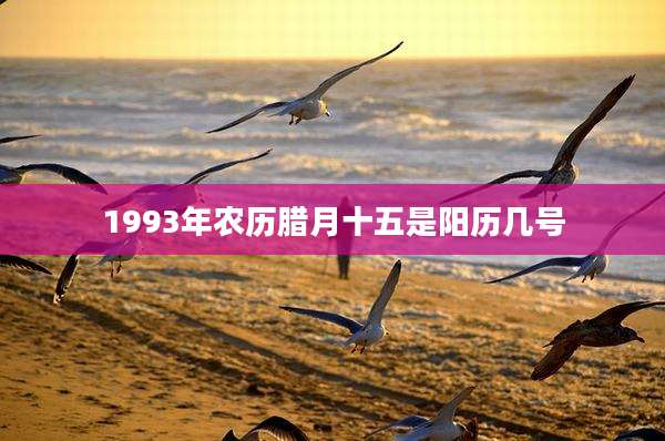 1993年农历腊月十五是阳历几号