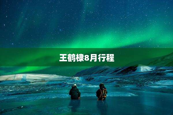 王鹤棣8月行程