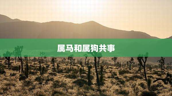 属马和属狗共事