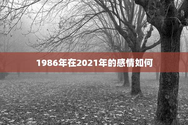 1986年在2021年的感情如何