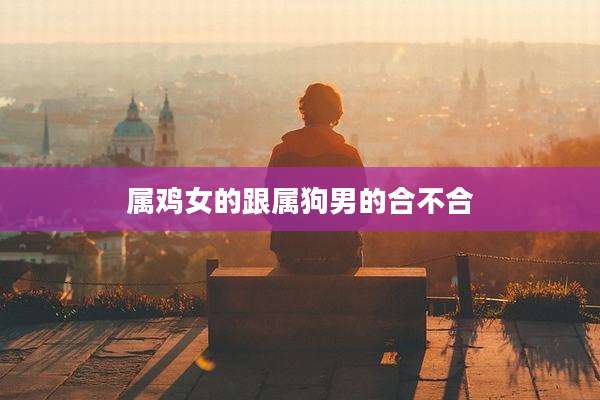 属鸡女的跟属狗男的合不合