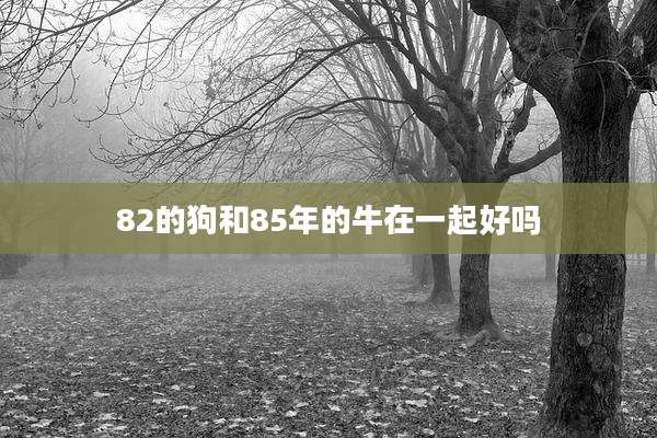 82的狗和85年的牛在一起好吗