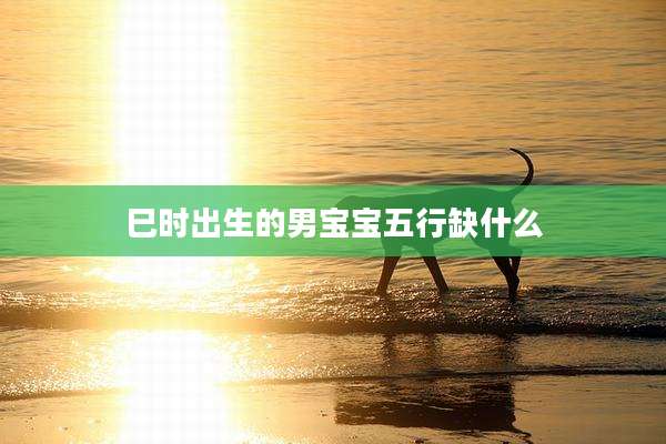 巳时出生的男宝宝五行缺什么