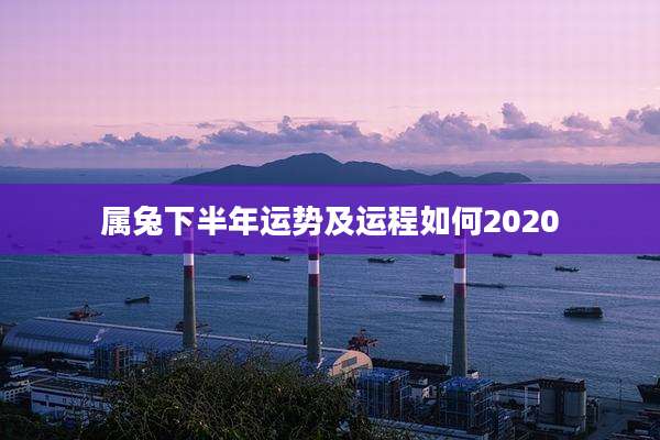 属兔下半年运势及运程如何2020