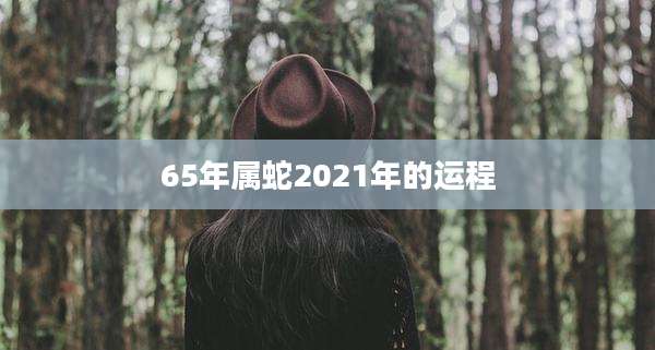 65年属蛇2021年的运程