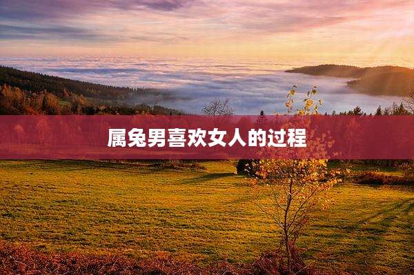 属兔男喜欢女人的过程
