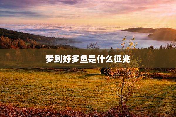 梦到好多鱼是什么征兆