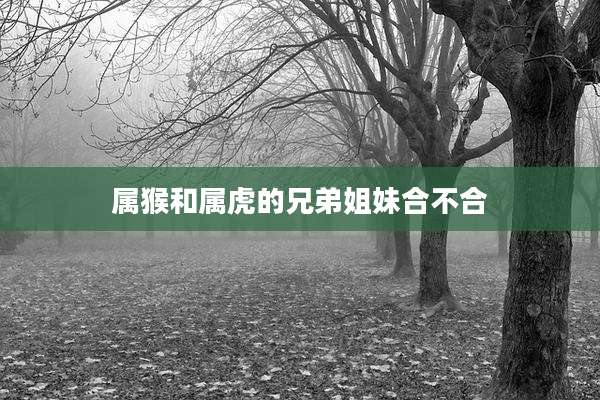 属猴和属虎的兄弟姐妹合不合
