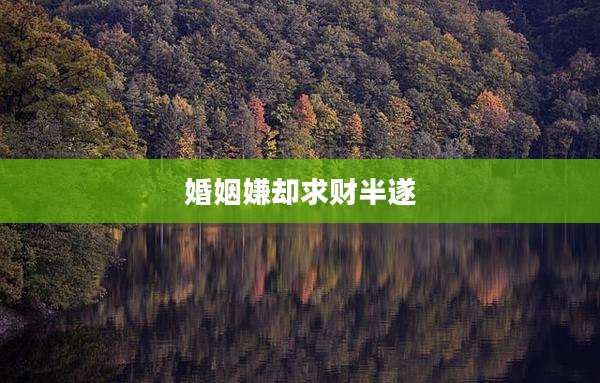婚姻嫌却求财半遂