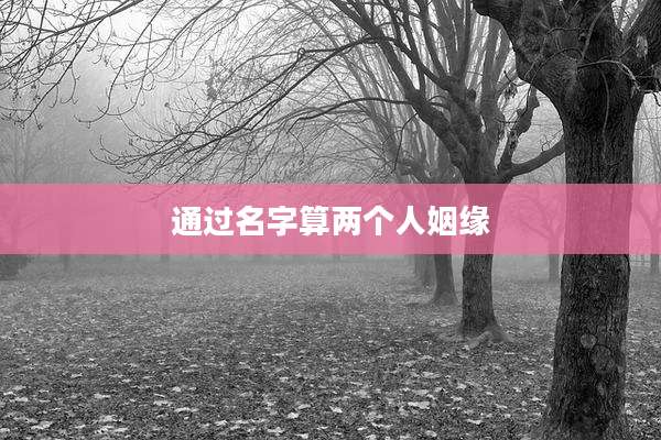 通过名字算两个人姻缘
