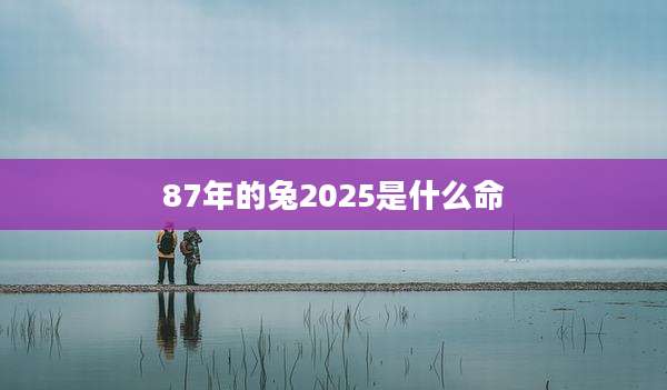 87年的兔2025是什么命