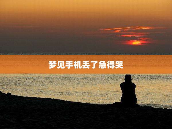 梦见手机丢了急得哭
