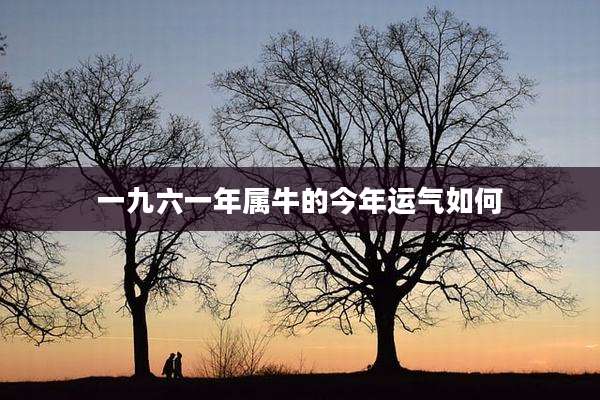 一九六一年属牛的今年运气如何