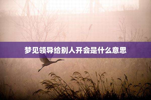 梦见领导给别人开会是什么意思
