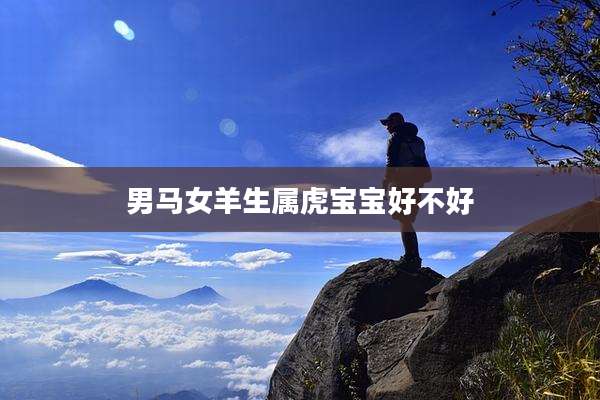 男马女羊生属虎宝宝好不好