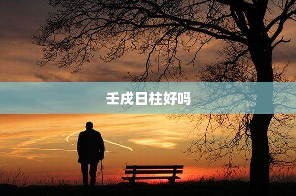 壬戌日柱好吗