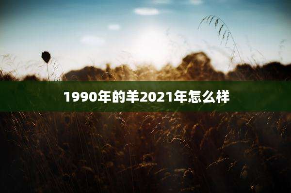 1990年的羊2021年怎么样