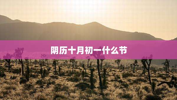 阴历十月初一什么节