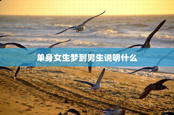 单身女生梦到男生说明什么