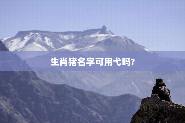 生肖猪名字可用弋吗?