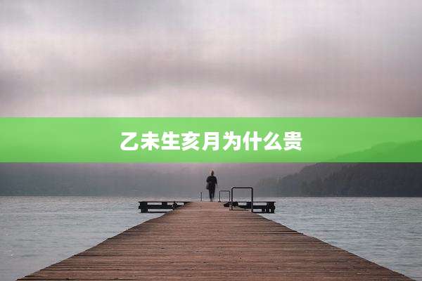 乙未生亥月为什么贵