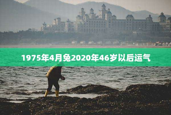 1975年4月兔2020年46岁以后运气