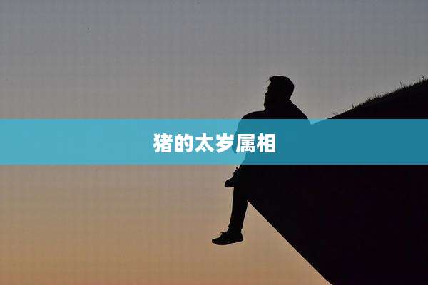 猪的太岁属相