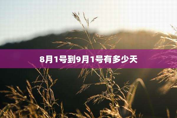 8月1号到9月1号有多少天