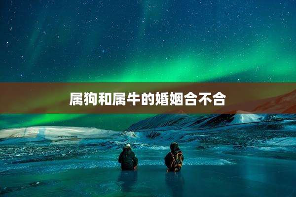 属狗和属牛的婚姻合不合