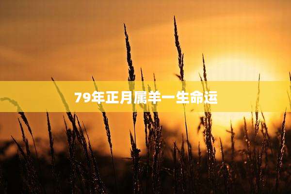 79年正月属羊一生命运