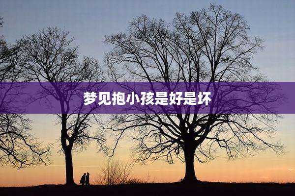 梦见抱小孩是好是坏