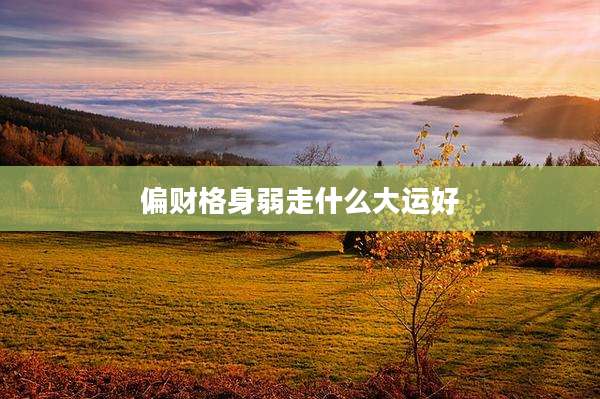 偏财格身弱走什么大运好