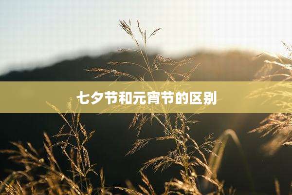 七夕节和元宵节的区别