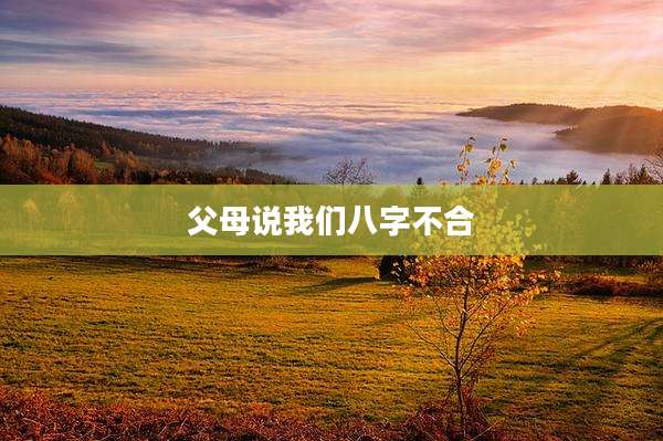 父母说我们八字不合