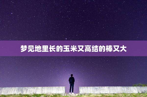 梦见地里长的玉米又高结的棒又大