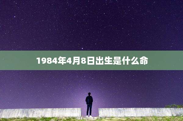1984年4月8日出生是什么命